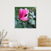 rust op een roos poster (Keuken)