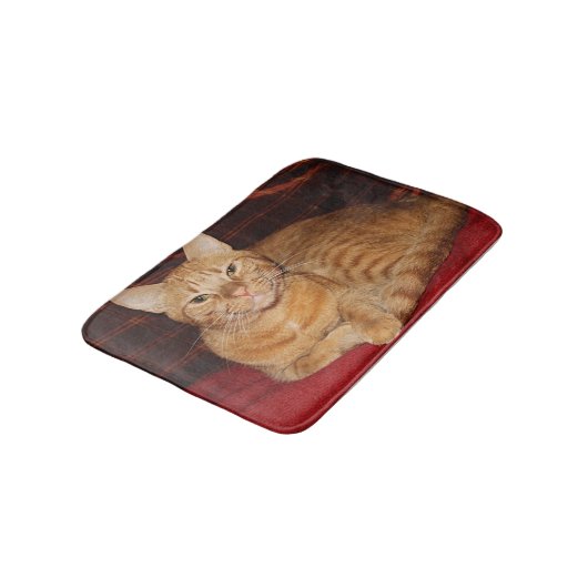 Rust Oranje Tabby Cat Smiling Badmat (Gekanteld)