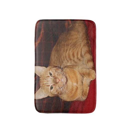 Rust Oranje Tabby Cat Smiling Badmat (Voorkant Verticaal)