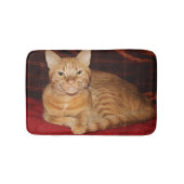 Rust Oranje Tabby Cat Smiling Badmat (Voorkant)