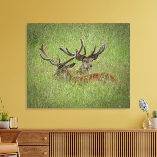 Rust Red Deer in Tall Grass Canvas Afdruk (Insitu (Woonkamer))