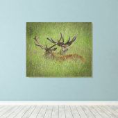 Rust Red Deer in Tall Grass Canvas Afdruk (Insitu (Houten vloer))