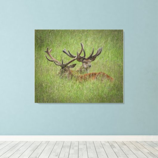 Rust Red Deer in Tall Grass Canvas Afdruk (Insitu (Houten vloer))