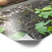 Rust Red Fox fotoprint Foto Afdruk (Hoek)