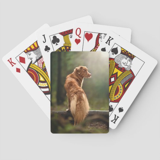 Rust Retriever uit Nova Scotia Pokerkaarten (Achterkant)