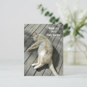 Rust uit Voel je beter Schattige Cat Get Well Cust Briefkaart (Staand voorkant)