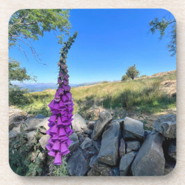 Rust van het Engelse platteland Bier Onderzetter