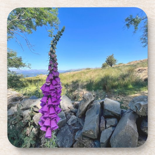 Rust van het Engelse platteland Bier Onderzetter (Voorkant)