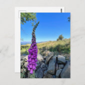 Rust van het Engelse platteland Briefkaart (Voorkant / Achterkant)