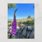 Rust van het Engelse platteland Briefkaart (Voorkant)