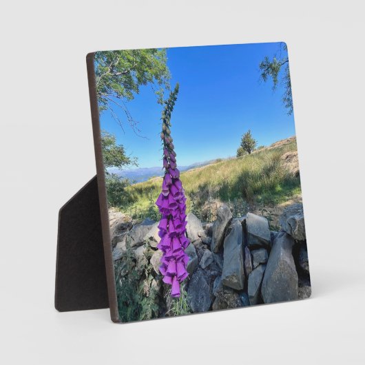 Rust van het Engelse platteland Fotoplaat (Voorkant)