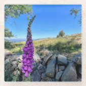 Rust van het Engelse platteland Glazen Onderzetter (Voorkant)