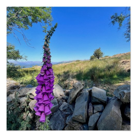 Rust van het Engelse platteland Perfect Poster (Voorkant)