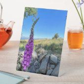 Rust van het Engelse platteland Reclamebord Met Voetstuk (Insitu)