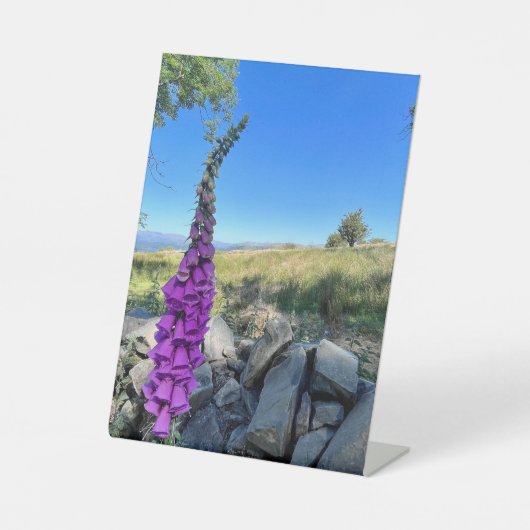 Rust van het Engelse platteland Reclamebord Met Voetstuk (Voorkant)