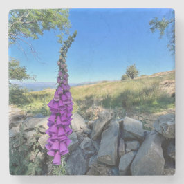 Rust van het Engelse platteland Stenen Onderzetter