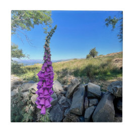 Rust van het Engelse platteland Tegeltje