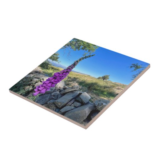 Rust van het Engelse platteland Tegeltje (Zijkant)