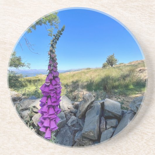 Rust van het Engelse platteland Zandsteen Onderzetter (Voorkant)