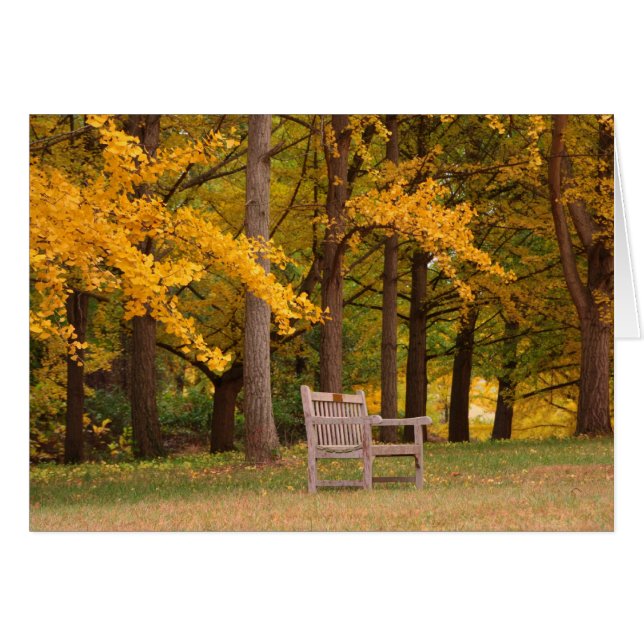 Rust voor een tijdje (Voorkant Horizontaal)