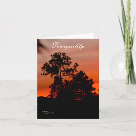 Rust zonsondergang Pijnbomen Nota Kaart (Voorkant)