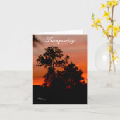 Rust zonsondergang Pijnbomen Nota Kaart (Gele Bloem)