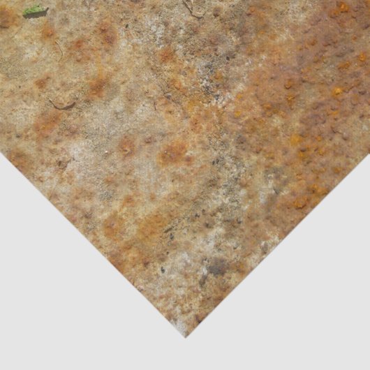 Rusted Art Tissuepapier (Detail)