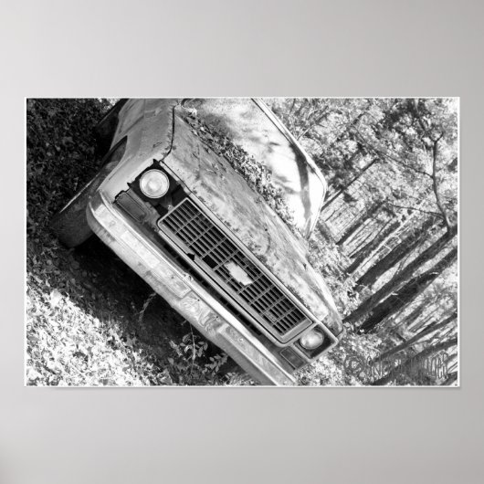 Rusted Friend 2 Poster (Voorkant)