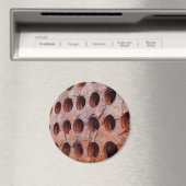 Rusted Perforated Metal Large Round Magnet (Insitu (Vaatwasser))