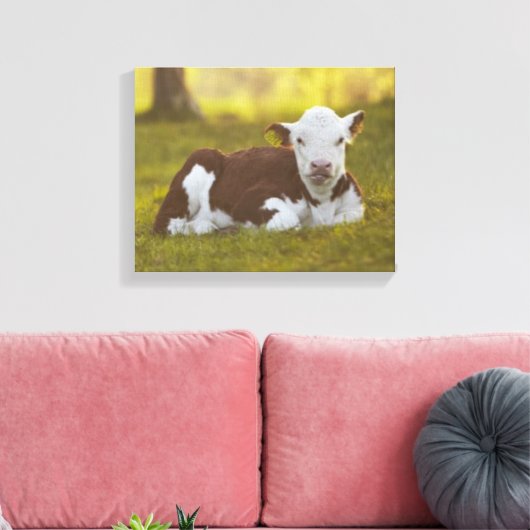 Rustend kalf canvas afdruk (Insitu (Woonkamer))