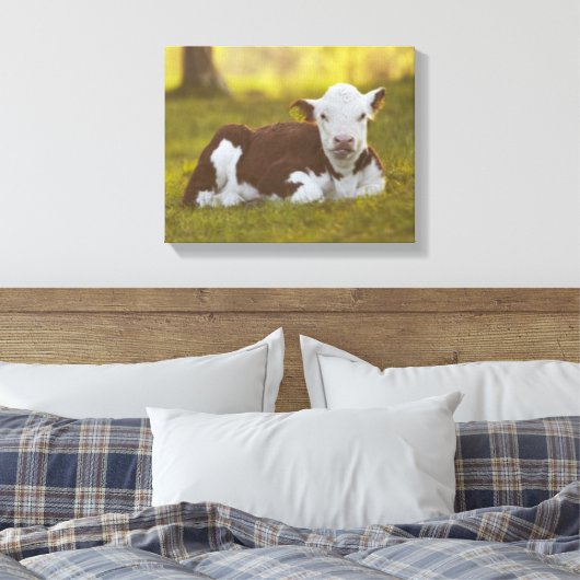 Rustend kalf canvas afdruk (Insitu (Slaapkamer))