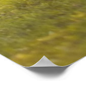 Rustend kalf poster (Hoek)