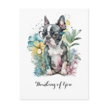 Rustende "Boston" Gezicht Boston Puppy Bril Bloem