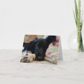 Rustende Bretonse hond notecard Kaart (Voorkant)