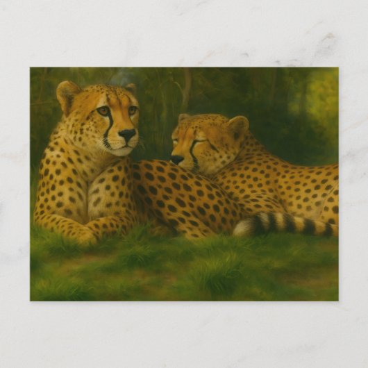 Rustende Cheetah Duo in het bos Briefkaart (Voorkant)