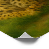 Rustende Cheetah Duo in het bos Poster (Hoek)