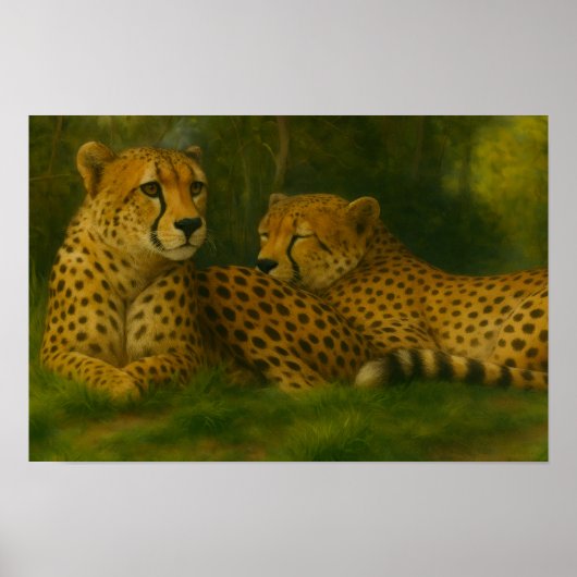 Rustende Cheetah Duo in het bos Poster (Voorkant)