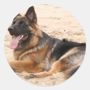 rustende duitse herdershond Sticker