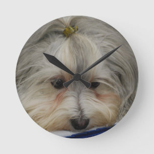 Rustende Hond Havanese Ronde Klok
