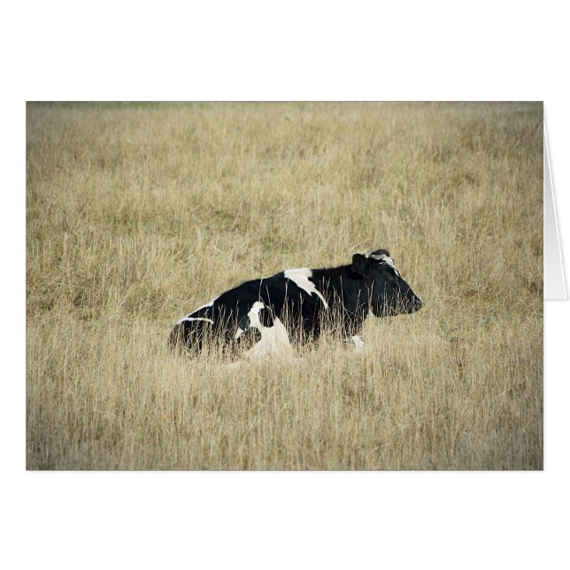 Rustende Koe - Kaart (Voorkant Horizontaal)