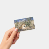 Rustende leeuwin badge (Handheld)