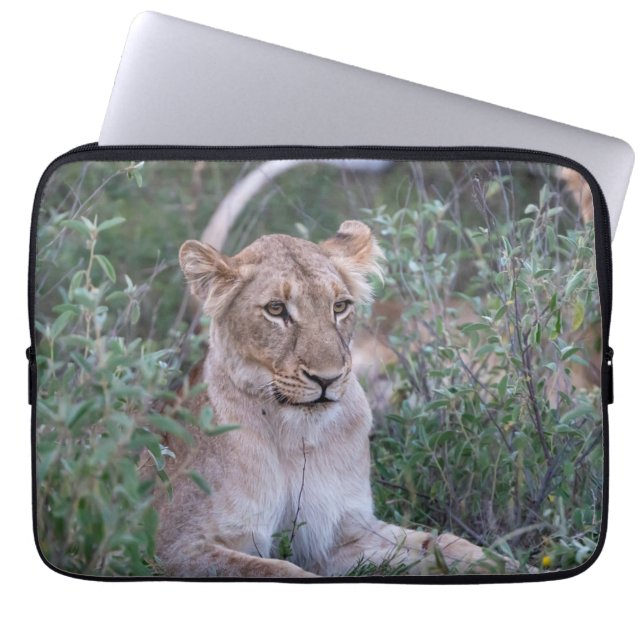Rustende leeuwin in Afrikaanse wilde dieren Laptop Sleeve (Voorkant)