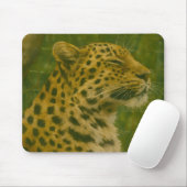 Rustende luipaard in Sanctuary setting Muismat (Met muis)