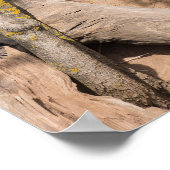 Rustende Meerkats in natuurlijke habitat Poster (Hoek)