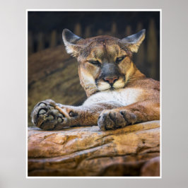 Rustende poema muurkunst | Wilde kat print