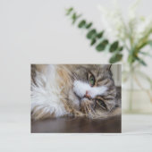 Rustende Ragamuffin Kat Briefkaart (Staand voorkant)