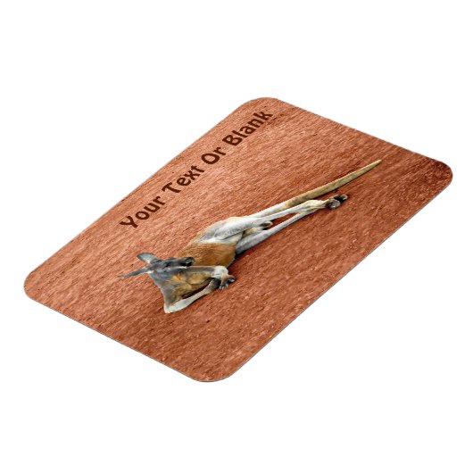 Rustende rode kangoeroe mannetje magneet (Linkerzijde)