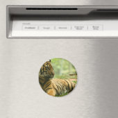 Rustende tijgermagneet magneet (Insitu (Vaatwasser))