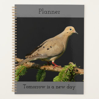 rustende treurduif planner