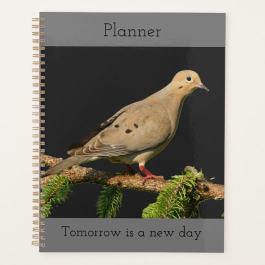 rustende treurduif planner (Voorkant)